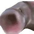 OOOOMEGALAWL