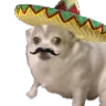 ElConcerno