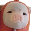 pigg8