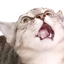 Reginald Reginald