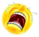 emoji_163