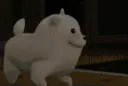 dogjams