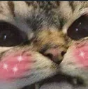 catt
