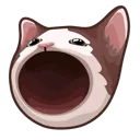 cat Discord Emoji