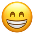 smiley_AE smiley_AE