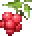 raspberry