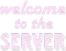 WelcomeToTheServer