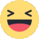 xd