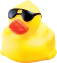 debug