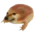 Froge froge Discord Emoji