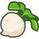 turnip