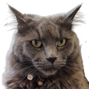 Dexter Discord emoji