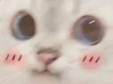 flushedCat