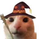 megucat