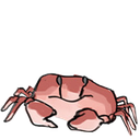 crab