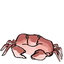 crab