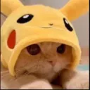 PP_cutecat