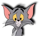 tomfloosh