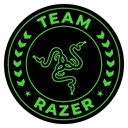 teamrzrlogo