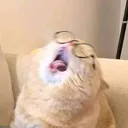 nyeh