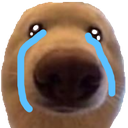 EN_crydoggo Discord emoji