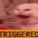 meohahaha