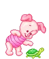 2559pigletturtlepoke