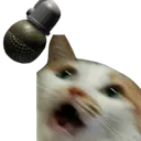 1_RGOcat 1_RGOcat