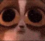 z_paniccry