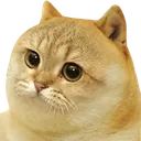 1742meowe Discord Emoji