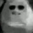 deadbob