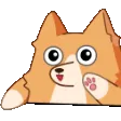 einbongo