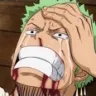 Zoro_Sad