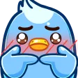 celmaaSHY