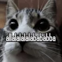 allalabab allalabab