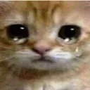 catcry Discord Emoji