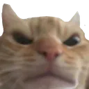 Angry_Swag Angry_Swag