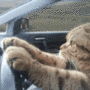 padoda_on_drive Discord emoji