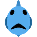 fish_front
