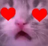 upsetcathearts Discord Emoji