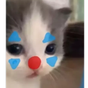 catclown_FDB Discord emoji