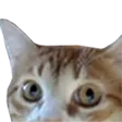 usachKit