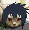 kedi_saske