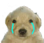 tkmcry_FDB Discord emoji