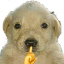 tkmshhh_FDB Discord emoji
