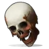 skull6_CS