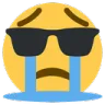 sobglasses
