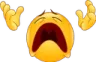 NOO NOO