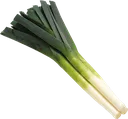 leek