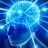 brain